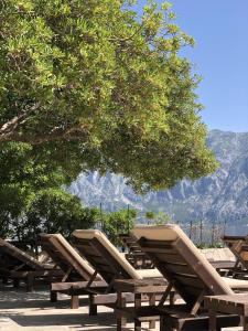 una fila de tumbonas sentadas bajo un árbol en Art Hotel Galathea en Kotor