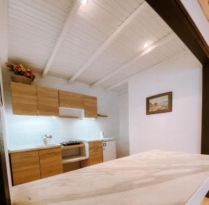Kuchyň nebo kuchyňský kout v ubytování Villa Tasos