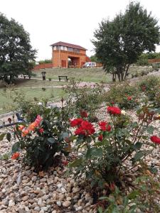 Vonkajšia záhrada v ubytovaní Rózsapark Panoráma-apartman - maximum 4 fő részére