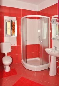 a bathroom with a shower and a toilet and a sink at Pensiunea Valcinet in Borşa