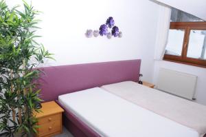 two beds in a room with two plants at Hotel Brainy in Krásno nad Kysucou