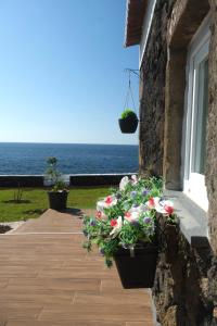 ein Haus mit Blumentöpfen an der Seite eines Fensters in der Unterkunft Azores 5 estrelas in Porto Judeu