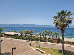 Loft Magna Grecia Reggio Calabria Centro Storico في ريجّو دي كالابريا: نخلة على طريق بجوار الشاطئ