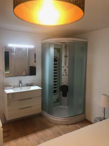 een badkamer met een douche, een wastafel en een spiegel bij Grubenmann Appartements - Sankt Gallen City in St. Gallen