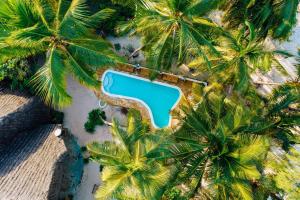 an overhead view of a pool on a beach with palm trees at Utupoa in Matemwe