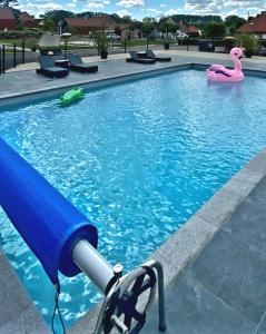 a swimming pool with a pink flamingo in the water at Belle vue D'Olhain in Fresnicourt-le-Dolmen