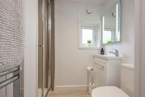 a bathroom with a toilet and a sink and a mirror at Ewe pod, luxury glamping pod with hot tub, Croft4glamping in Benderloch