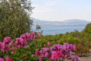 een uitzicht op een waterlichaam met roze bloemen bij Skadar Lake House in Bar