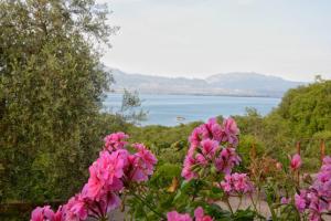 een bos roze bloemen met uitzicht op een meer bij Skadar Lake House in Bar