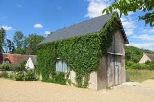 un edificio ricoperto di edera con finestra di LA GRANGE a Montlouis-sur-Loire