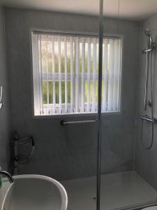 a bathroom with a shower and a sink and a window at Yr Hafan in Trelech
