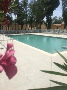 a swimming pool with a pink flower in front of it at Bastidon des Alpilles 11 in Saint-Rémy-de-Provence