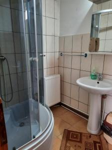 een badkamer met een douche en een wastafel bij Pensiunea Cristiana in Curtea de Argeş