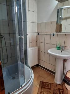 un baño con ducha y lavabo en Pensiunea Cristiana, en Curtea de Argeş