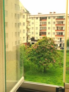 una ventana con vistas a un árbol y edificios en Apartament Przy Metrze i Przy Lesie, en Varsovia