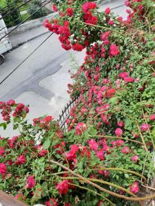 Billede fra billedgalleriet på Pensiunea Cristiana i Curtea de Argeş