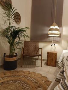 een woonkamer met een stoel en een plant bij Petra Lodge in Finikas