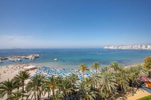 an aerial view of a beach with palm trees and the ocean at Casual Pop Art Benidorm in Benidorm
