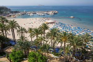 an aerial view of a beach with palm trees and the ocean at Casual Pop Art Benidorm in Benidorm