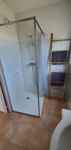W łazience znajduje się prysznic ze szklanymi drzwiami. w obiekcie Résidence les Arts 2 w mieście Arles