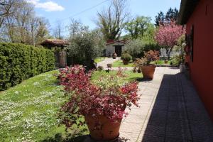 A garden outside Appartamenti il PALAZZACCIO