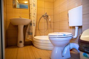 a bathroom with a toilet and a sink and a shower at Motel Aris Meridian in Piatra Neamţ +125 photos