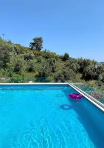 Bazén v ubytovaní Golden King Villas alebo v jeho blízkosti