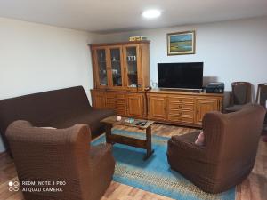 TV a/nebo společenská místnost v ubytování Seosko domaćinstvo Joksimović