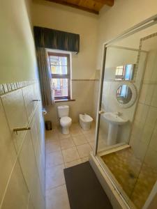 a bathroom with a shower and a toilet and a sink at Schulteheim Hotel in Uniondale