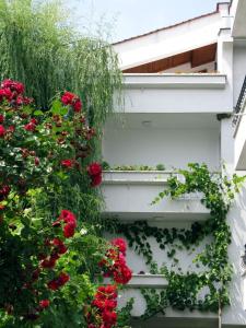 Gallery image of Guest House Barbov in Obzor