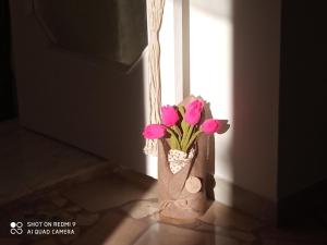 Fotografia z galérie ubytovania Mady v destinácii Locorotondo