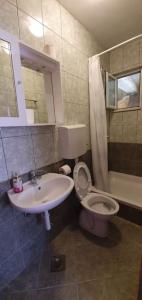 y baño con aseo y lavamanos. en Apartment Kristić - Saplunara, Mljet, en Babino Polje
