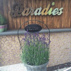 Gallery image of Hatzenporter Paradies in Hatzenport