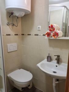 Koupelna v ubytování Apartmani Milenko Lubenice