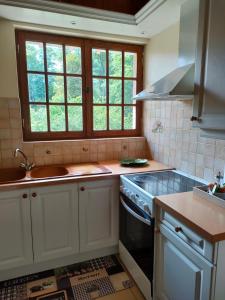 een keuken met een wastafel en een fornuis top oven bij Haras des Buissonnets in Bois-Anzeray