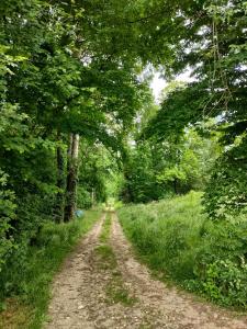 un camino de tierra en medio de un bosque en Haras des Buissonnets, en Bois-Anzeray