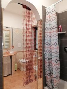 Falvaterra的住宿－B&b Fabra Casa Mia e non solo，带淋浴和卫生间的浴室
