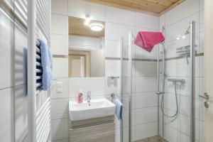 a bathroom with a sink and a shower at La Mer in Altefähr