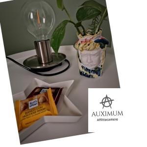 un tavolo con una lampadina e un vaso con una pianta di AUXIMUM Appartamenti a Osimo