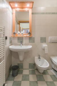 une salle de bain avec un lavabo, des toilettes et un miroir dans l'établissement Appartamenti Centrale, à Andalo