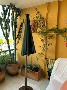 莫諾波利的住宿－Maria del Mar，绿伞,植物的房间