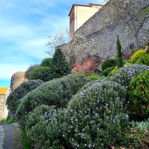 un jardín con flores púrpuras y un edificio en La Grande Maison, en Chanteuges