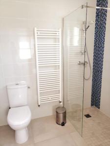 La salle de bains est pourvue de toilettes et d'une douche en verre. dans l'établissement Gîte de l'Alisier - Rambouillet -, à Rambouillet