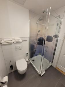 uma casa de banho com um chuveiro e um WC. em Pension zum Kleistpark em Frankfurt an der Oder