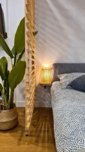a bedroom with a bed and a lamp and a plant at Magnifique appartement rénové plein centre-ville in Marmande