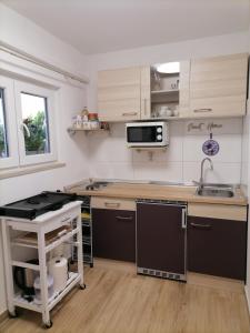 Kuchyň nebo kuchyňský kout v ubytování Apartmani Marina Poreč