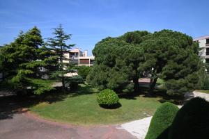 un giardino con alberi e erba e un edificio di Superbe appartement avec balnéo. a Saint-Cyprien