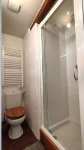 uma casa de banho com um WC e uma cabina de duche em vidro. em Logement dans maison de pêcheur em Le Tréport