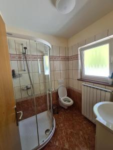 La salle de bains est pourvue d'une douche, de toilettes et d'une fenêtre. dans l'établissement Guest house Kočanija, à Ilirska Bistrica