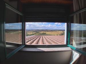a window with a view of a field of crops at Hotel Trindade Coelho in Mogadouro